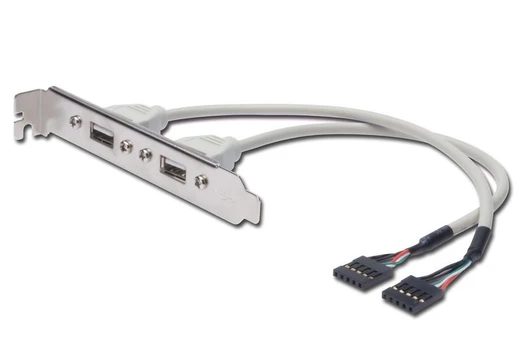 Assmann Electronic Diverse Įvairus takelis 2xUSB (AK-300301-002-E)