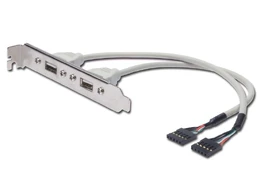 Assmann Electronic Diverse Įvairus takelis 2xUSB (AK-300301-002-E) kaina