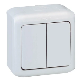 2 gang one-way switch Forix- surface mounting - 10 AX - 250 V - grey