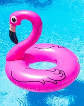 Big Mouth Pripučiamas ratas, Flamingas MAX kaina