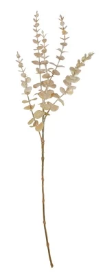Dirbtinė šakelė, eukaliptas Splendid, aukso, 730 mm