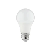 LED lemputė SPECTOR LIGHT, E27 A60, 9W, 4000K, 820 lm kaina