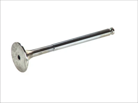 FRECCIA 3954/RCR Exhaust valve