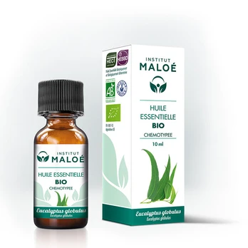 Rutulinių eukaliptų eterinis aliejus BIO Eucalyptus globulus 100% natūralus, 10 ml