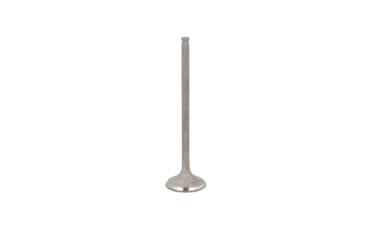 FRECCIA 6556/RNT Exhaust valve