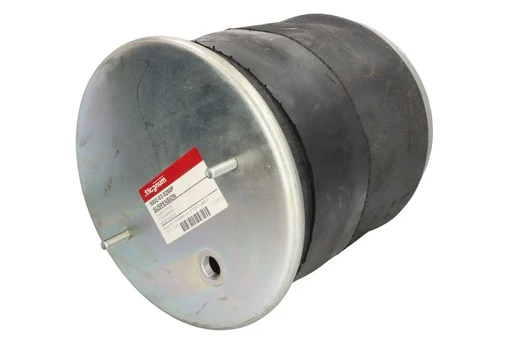 Pneumatinės pakabos kamera 5002-03-0280P