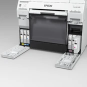 EPSON T43U Juodas Surelab D800 kaina