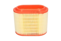 Oro filtras FILTRON AE358 kaina