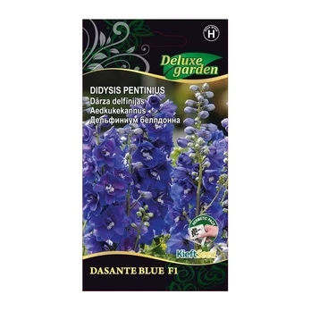 DIDYSIS PENTINIUS DASANTE BLUE H