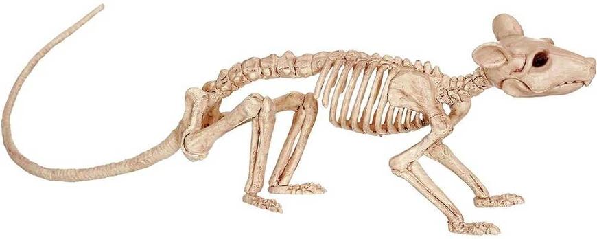 Helovino statulėlė "Žiurkės skeletas"