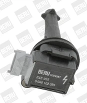 Ritė, uždegimas BorgWarner (BERU) ZSE055