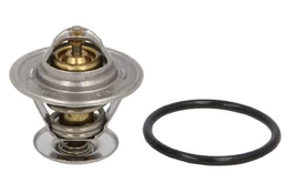 Termostatas, aušinimo skystis MAHLE TX 15 87D kaina