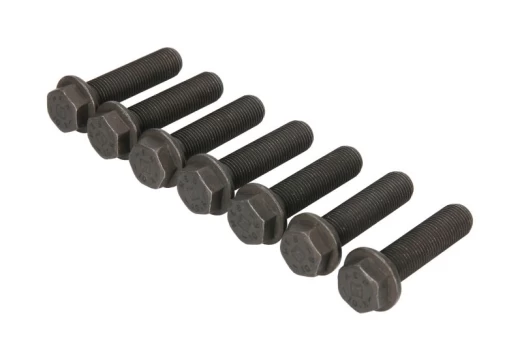 LUK 411 0170 11 Flywheel bolt set