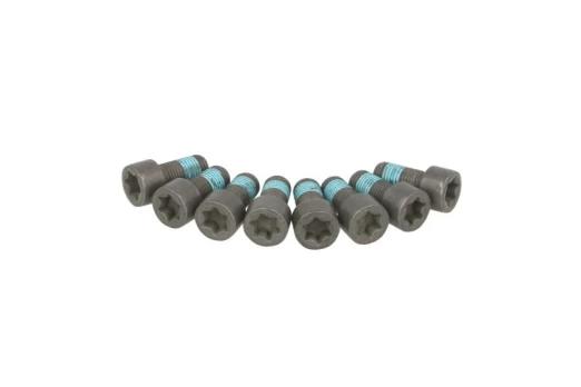 SACHS 1874 000 032 Flywheel bolt kit