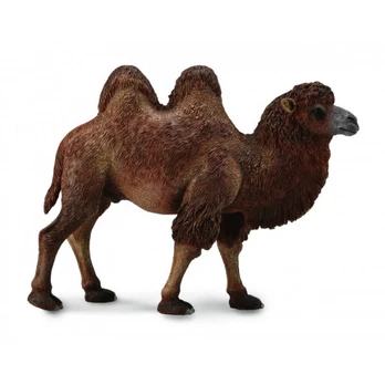 Collecta Figūrėlė Dvikupris kupranugaris (L)