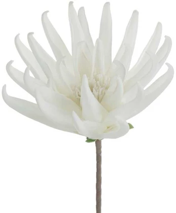 Eurofirany KW/FLORE/830/B B