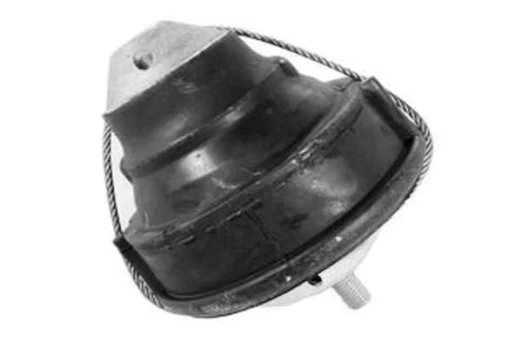 Variklio montavimas TEDGUM 00742250