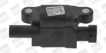 Ritė, uždegimas BorgWarner (BERU) ZSE159