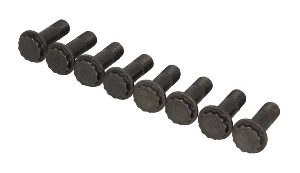 LUK 411 0173 10 Flywheel bolt set