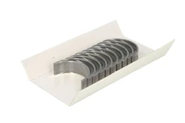 GLYCO H098/5 0.25MM Main bearing set kaina