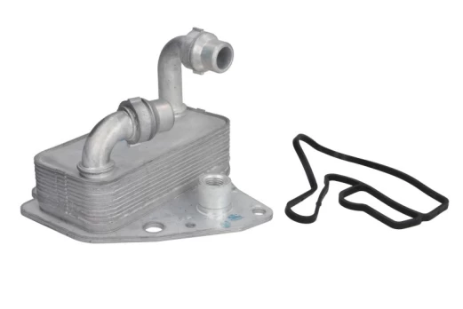 Alyvos radiatorius THERMOTEC D4F008TT