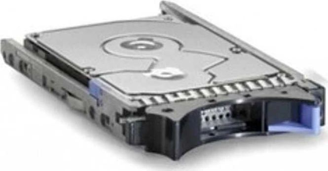 IBM 300 GB 2,5 colio SAS-2 (6 Gb/s) serverio diskas (49Y6173)