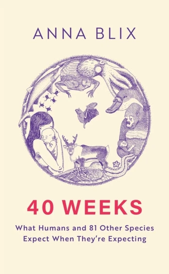 40 Weeks