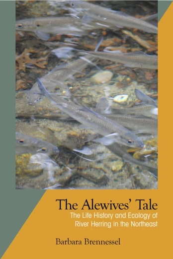 Alewives Tale