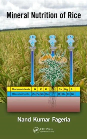 Mineral Nutrition of Rice