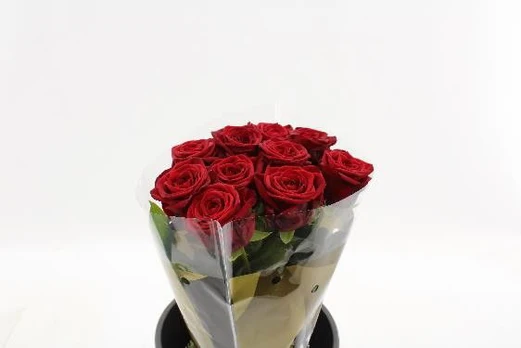 Skinta gėlė Rožė raudona, 60 cm, lot. Rose red