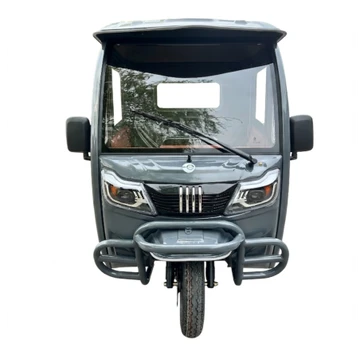 Elektrinis krovininis triratis RIDE-E TITAN (EEC) 1000W 45Ah 72V