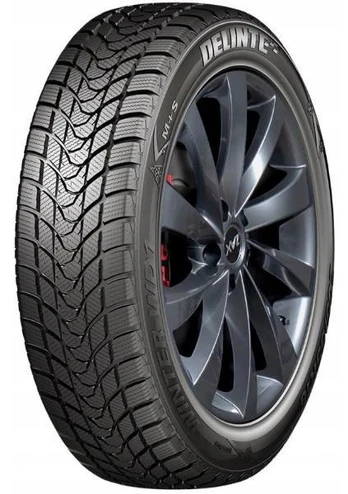Delinte WD1 195/65 R15 91H