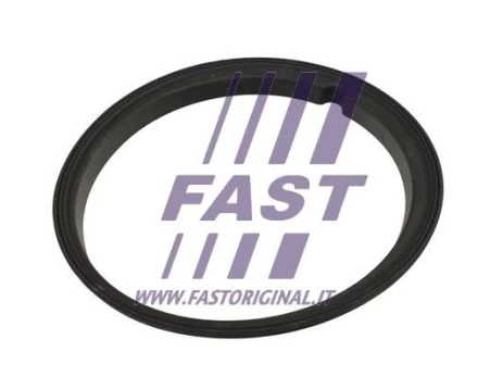 Tarpiklis, degalų daviklio blokas FAST FT48502