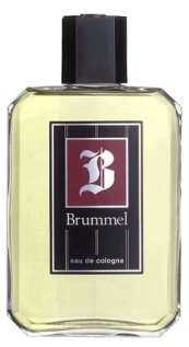 Odekolonas Puig Brummel EDC vyrams, 500 ml kaina