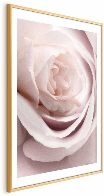 Artgeist Plakatas - Porcelain Rose
