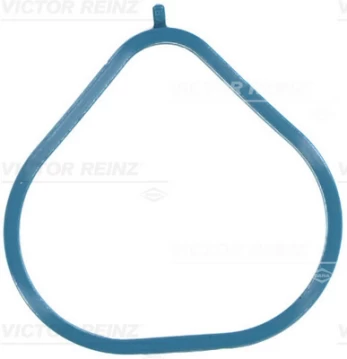 Įsiurbimo kolektoriaus tarpinė 71-10209-00