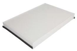 Salono filtras HENGST E955LI kaina