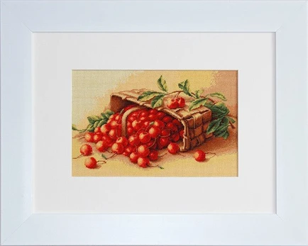 Basket of cherry SG498
