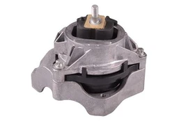 Variklio montavimas TEDGUM TED52510