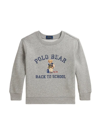 Polo Ralph Lauren Džemperis 322B27292001 Pilka Regular Fit
