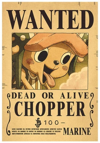 Plakatas One Piece