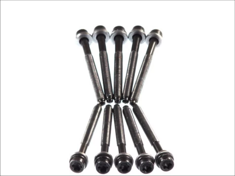 ELRING EL804870 Cylinder head bolt set