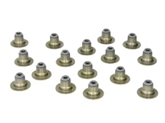 REINZ 12-53438-02 Valve stem seal set kaina
