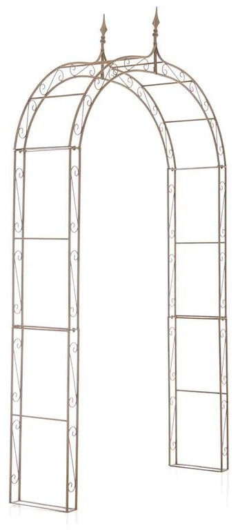 'Rose Arch Lenz' antikvarinis rudas