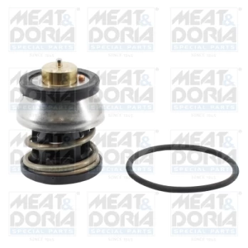 termostatas, aušinimo skystis MEAT & DORIA MD92973