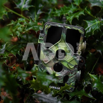Caruba Wildcamera Toad Full HD