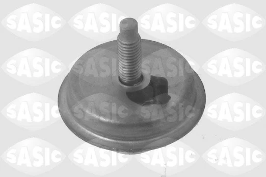 Variklio montavimas SASIC 2700003