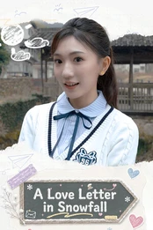 A Love Letter In Snowfall PC
