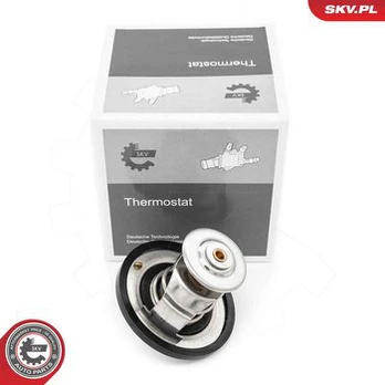 Termostatas, aušinimo skystis ESEN SKV 20SKV219