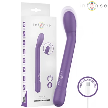 INTENSE FUN G-Spot Vibrator Model 9173, USB, Deep Purple, 19cm